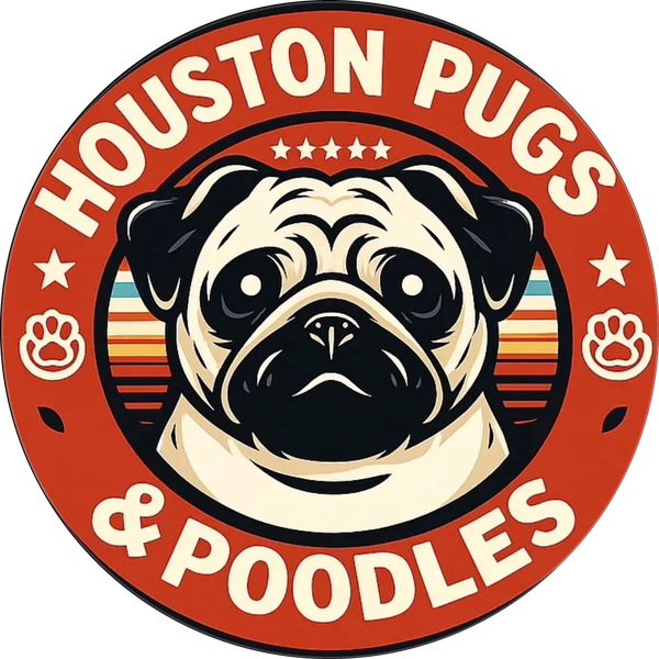 Houston Pugs & Poodles — Space City Pugs logo